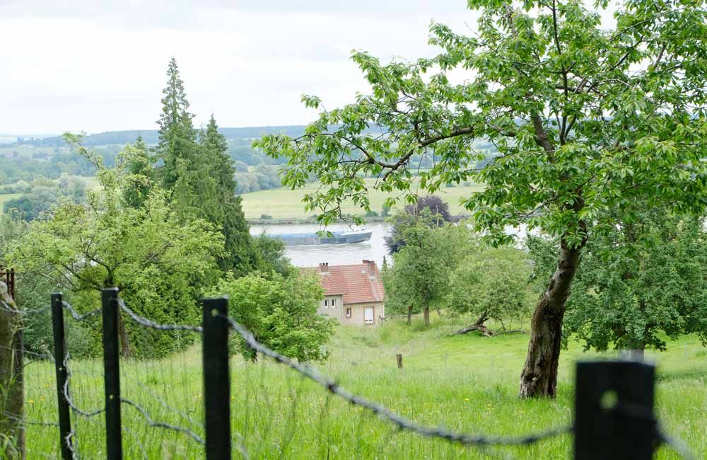 Un cadre reposant au bord de la Seine