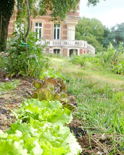 Potager dans le jardin de la résidence